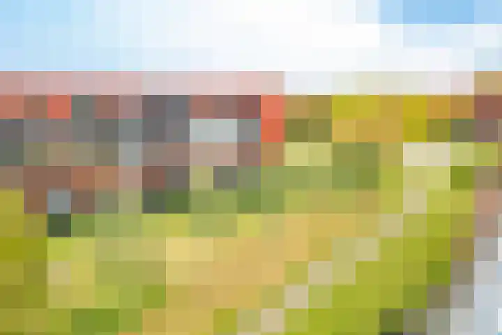 Forel 30 Amersfoort thumbnail 44
