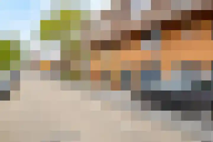 Forel 30 Amersfoort thumbnail 47