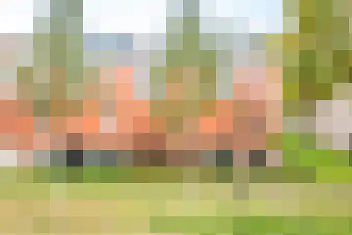 Forel 30 Amersfoort thumbnail 5