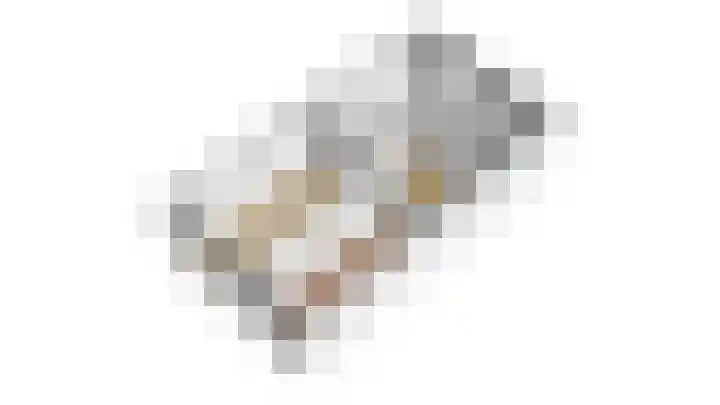 Forel 30 Amersfoort thumbnail 58
