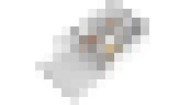 Forel 30 Amersfoort thumbnail 61