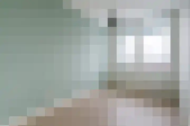 Forel 366 Amersfoort thumbnail 18