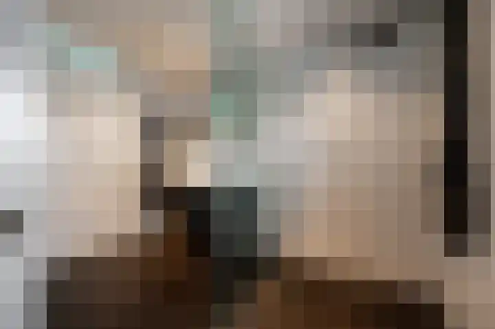 Forel 366 Amersfoort thumbnail 20