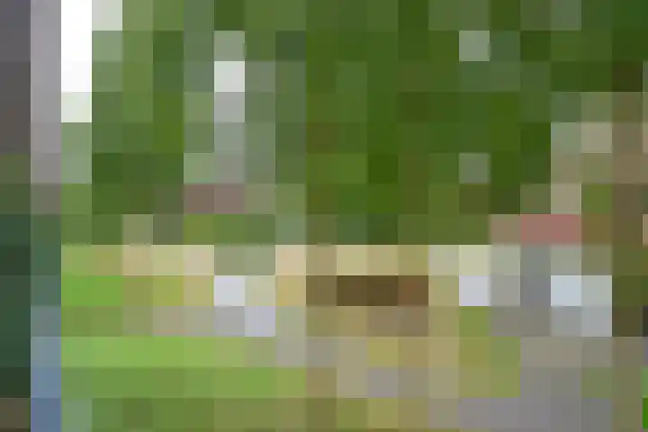 Forel 370 Amersfoort thumbnail 26
