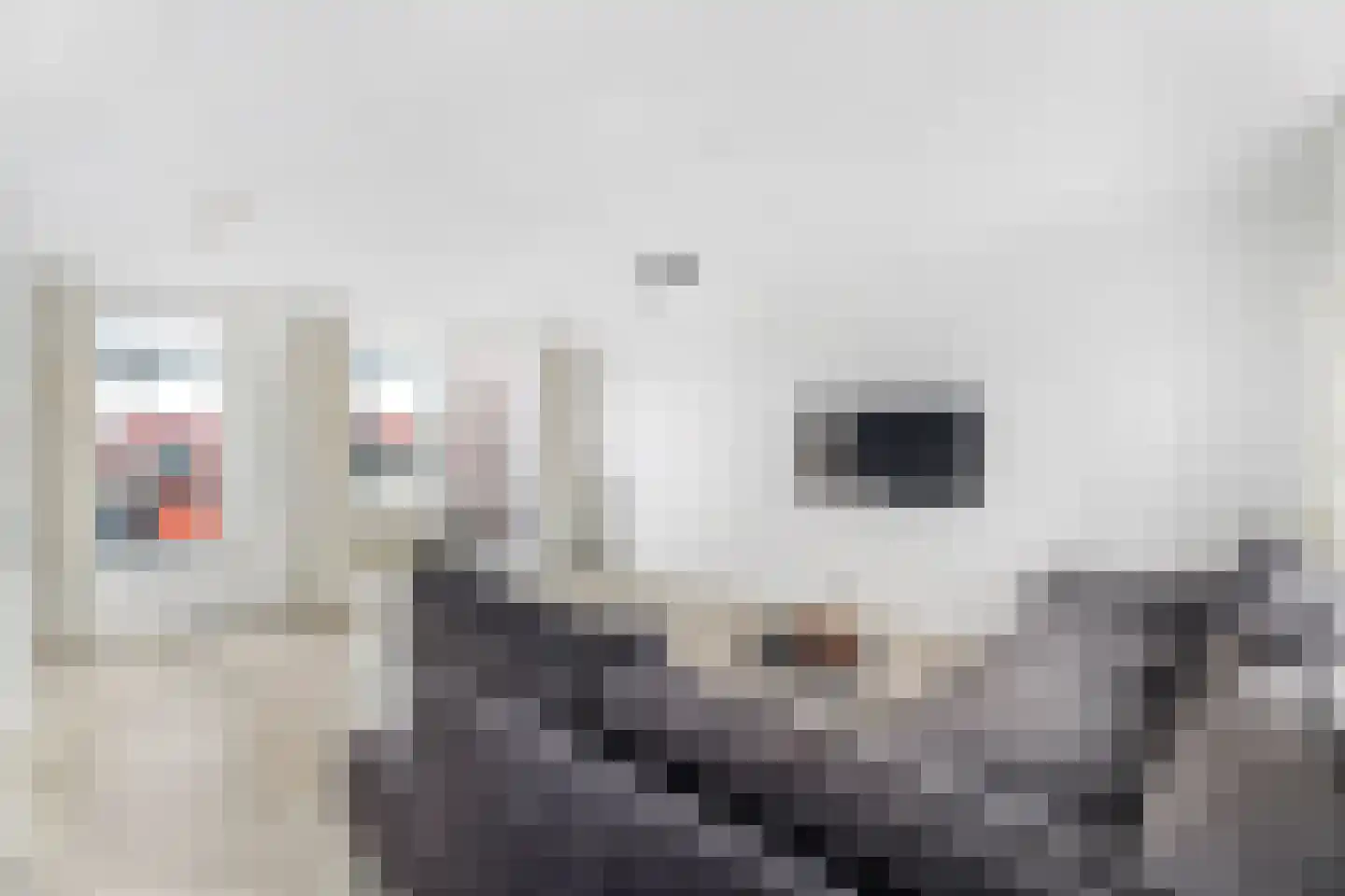 Forel 38 Amersfoort thumbnail 11