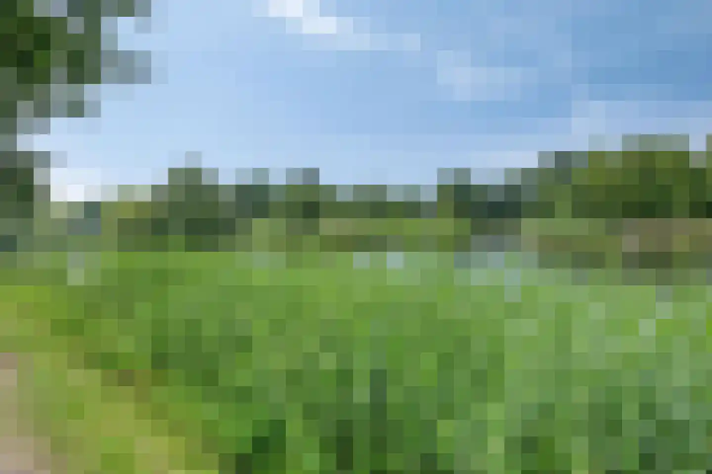 Forel 38 Amersfoort thumbnail 29