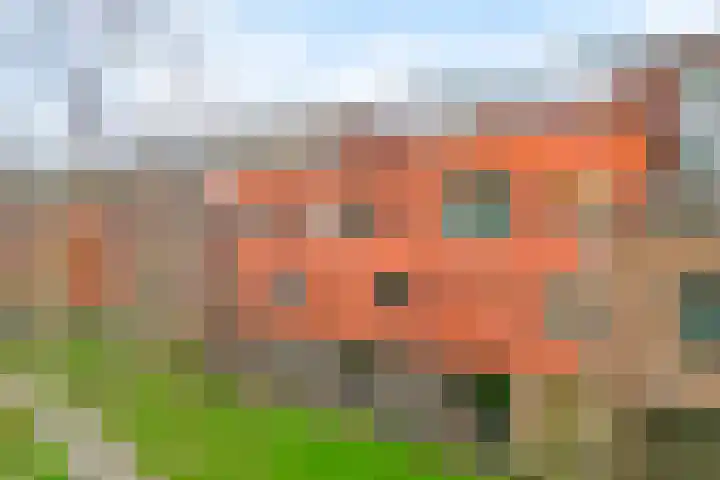Forel 38 Amersfoort thumbnail 30