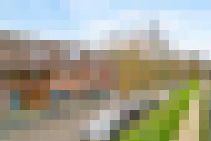 Forel 38 Amersfoort thumbnail 31