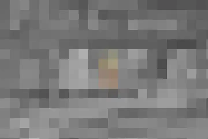 Forel 38 Amersfoort thumbnail 33