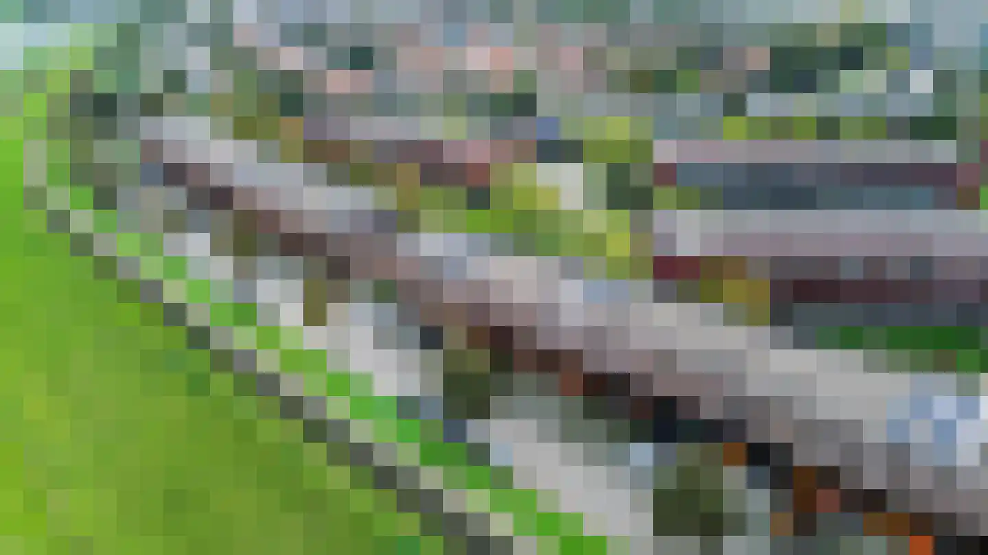 Forel 392 Amersfoort thumbnail 8