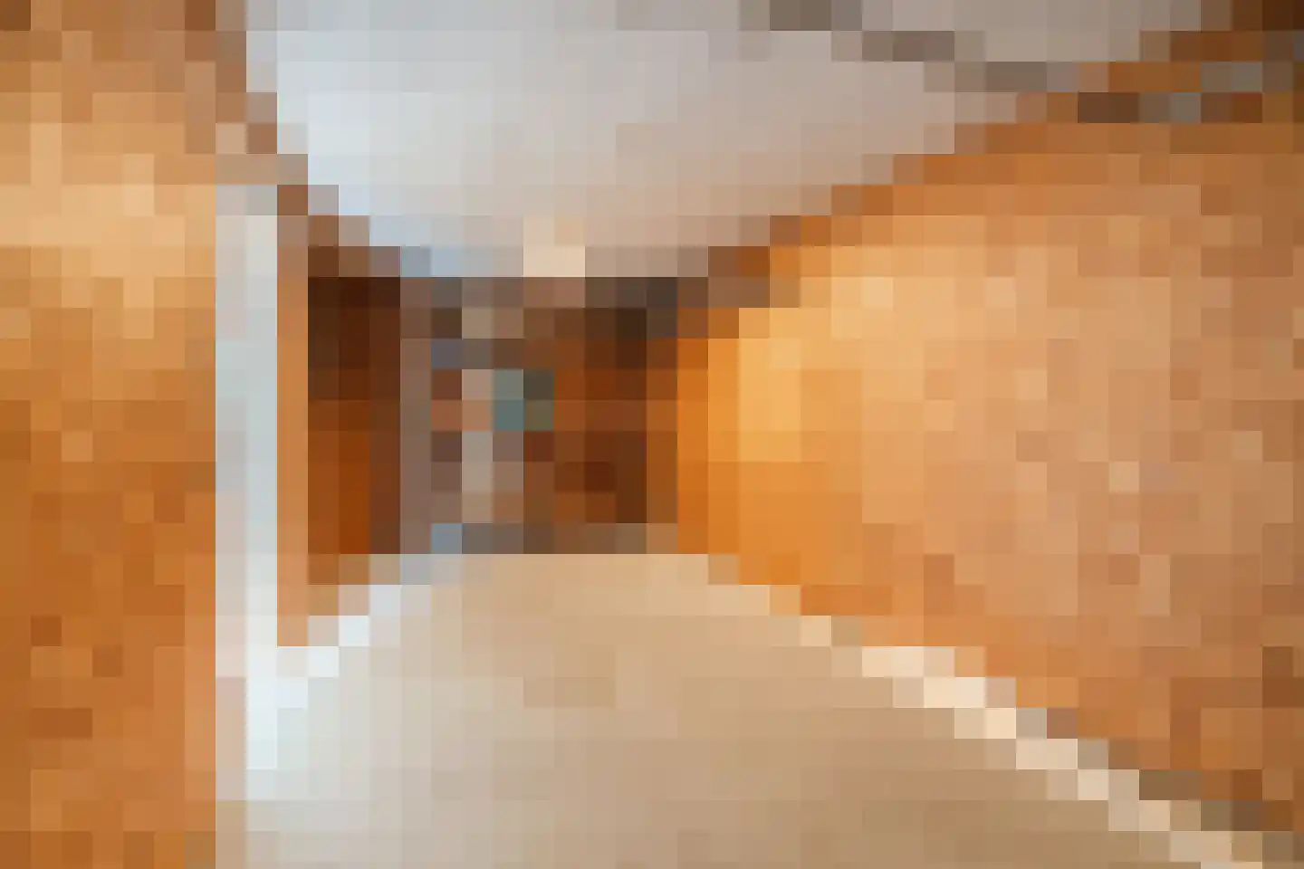 Forel 40 Amersfoort thumbnail 47