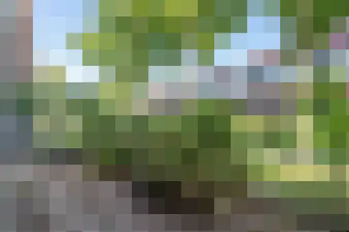 Forel 58 Amersfoort thumbnail 13