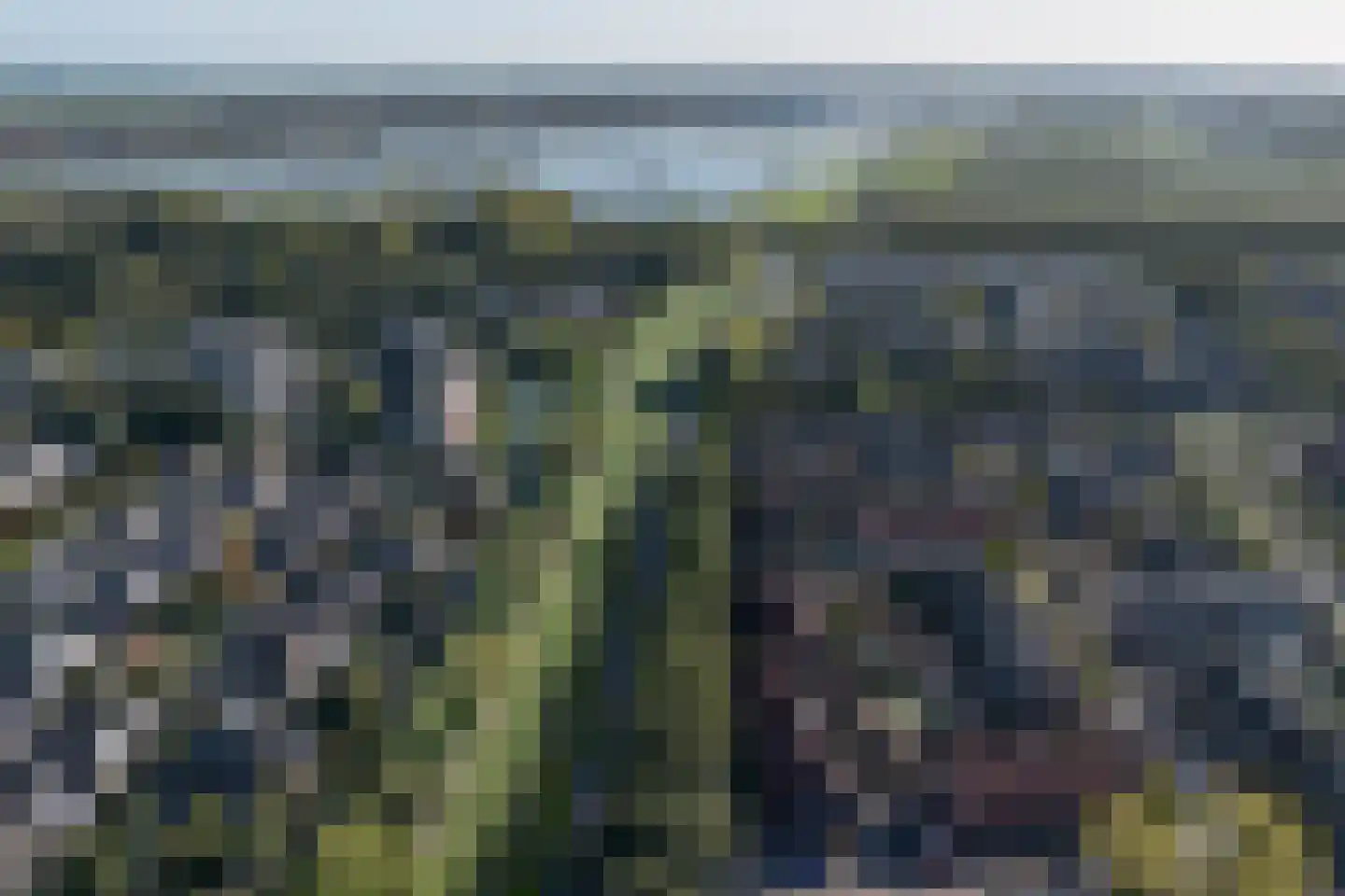 Forel 61 Ridderkerk thumbnail 6