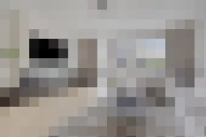 Forel 7 Veenendaal thumbnail 10