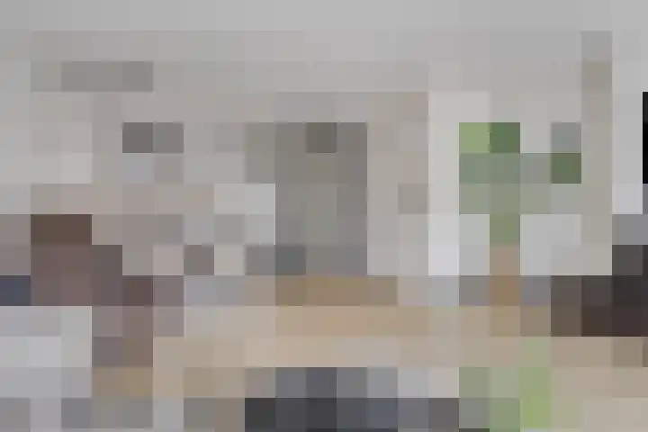 Forel 7 Veenendaal thumbnail 12
