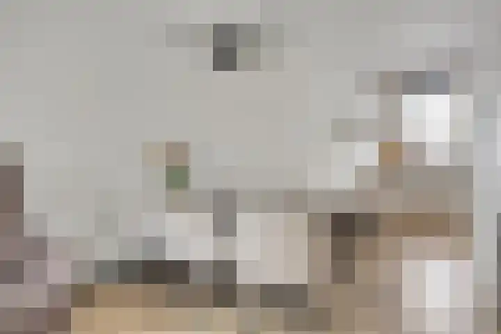 Forel 7 Veenendaal thumbnail 13