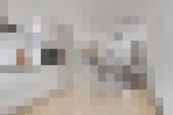 Forel 7 Veenendaal thumbnail 17