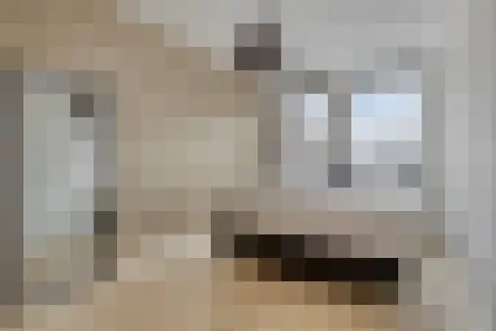 Forel 7 Veenendaal thumbnail 20