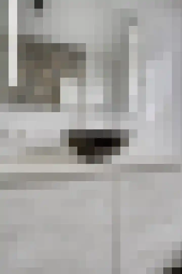 Forel 7 Veenendaal thumbnail 22