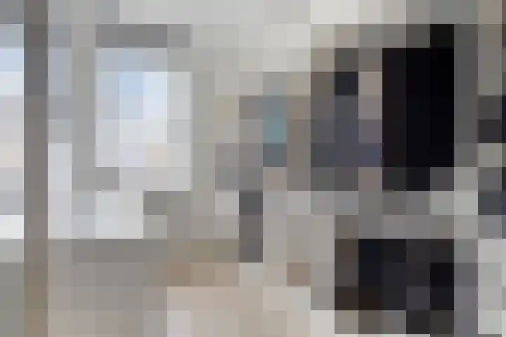 Forel 7 Veenendaal thumbnail 26