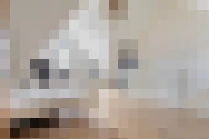 Forel 7 Veenendaal thumbnail 29