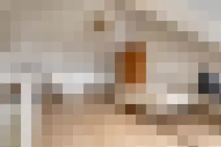 Forel 7 Veenendaal thumbnail 30