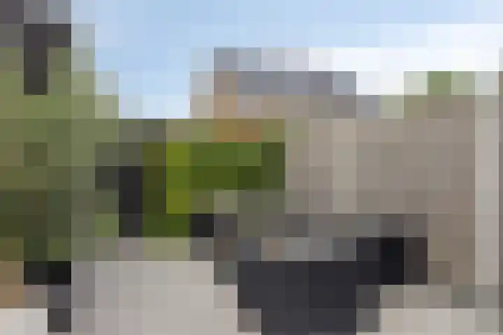 Forel 7 Veenendaal thumbnail 32