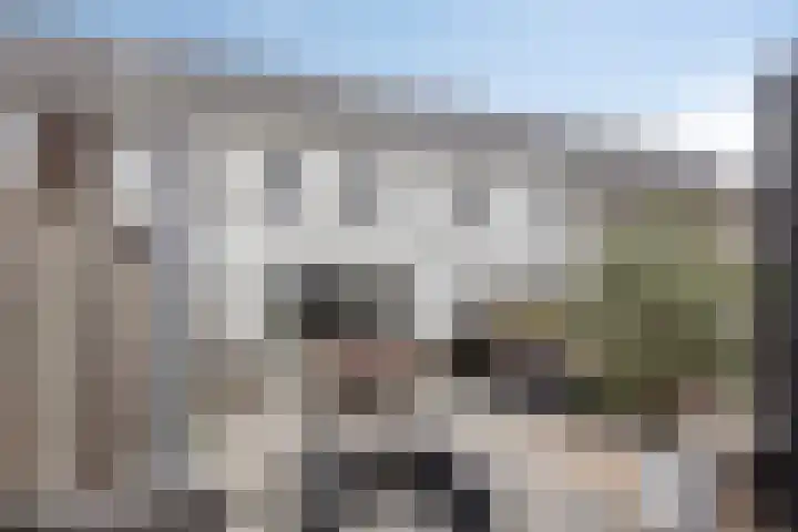 Forel 7 Veenendaal thumbnail 33