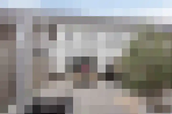 Forel 7 Veenendaal thumbnail 34