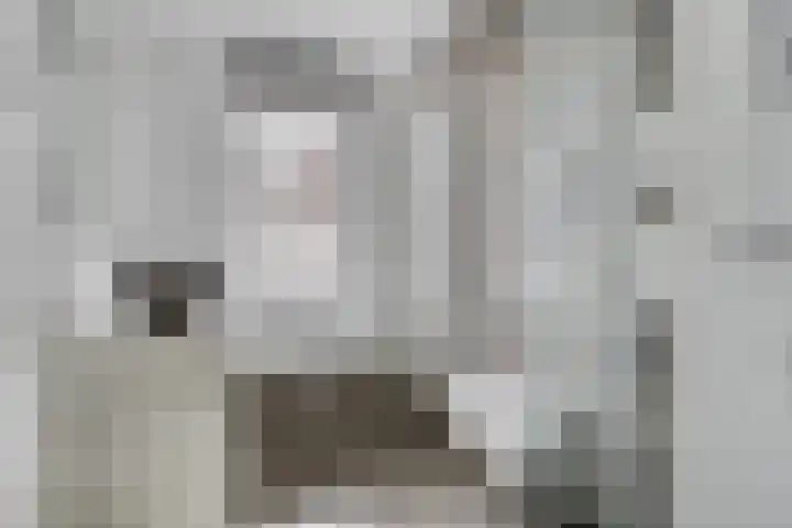 Forel 7 Veenendaal thumbnail 4