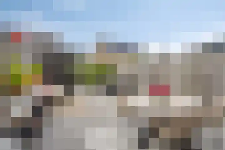 Forel 7 Veenendaal thumbnail 5