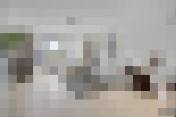 Forel 7 Veenendaal thumbnail 9