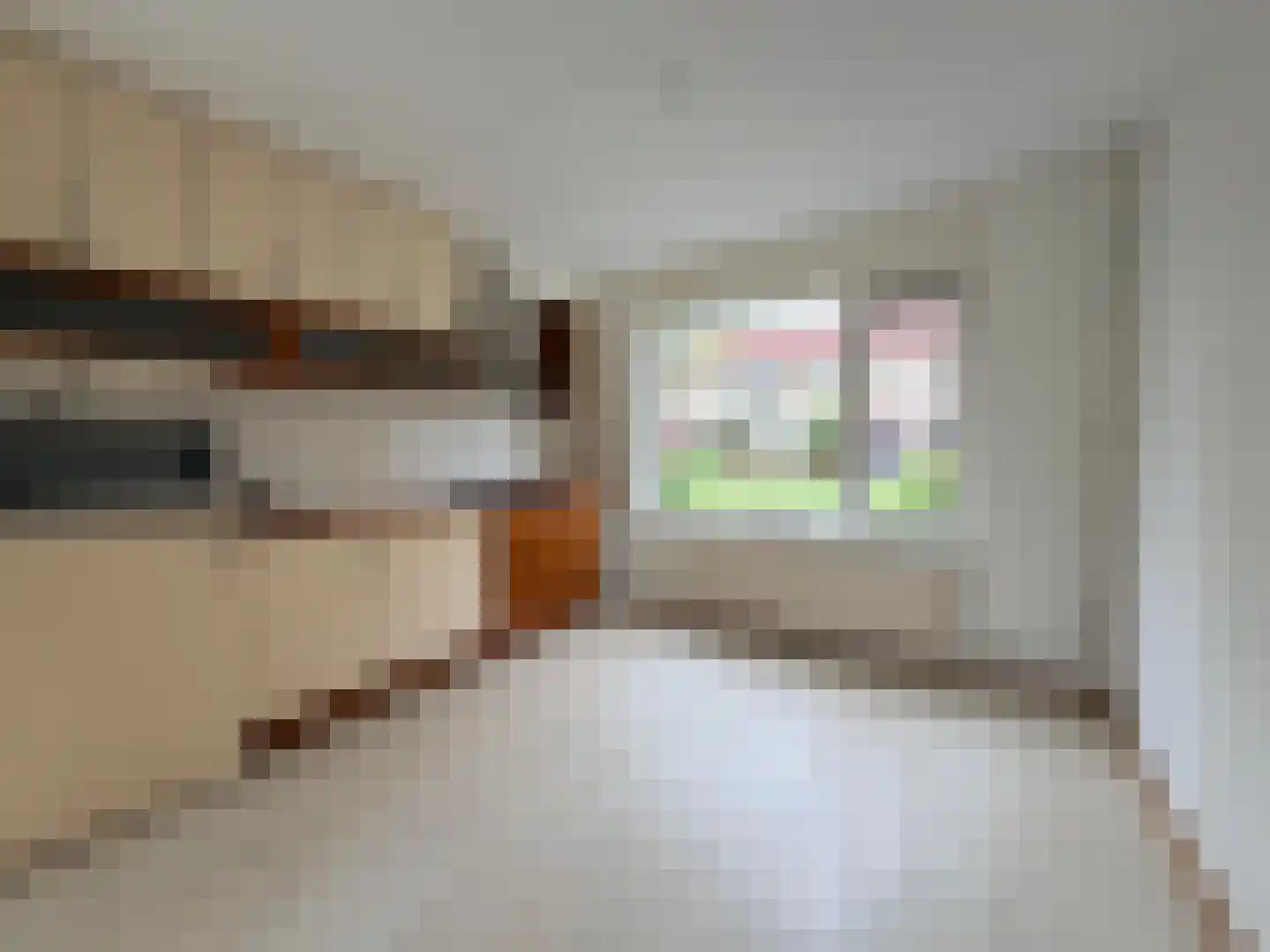 Forel 8 Zeewolde thumbnail 10