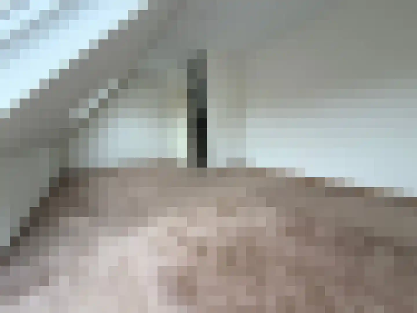 Forel 8 Zeewolde thumbnail 17