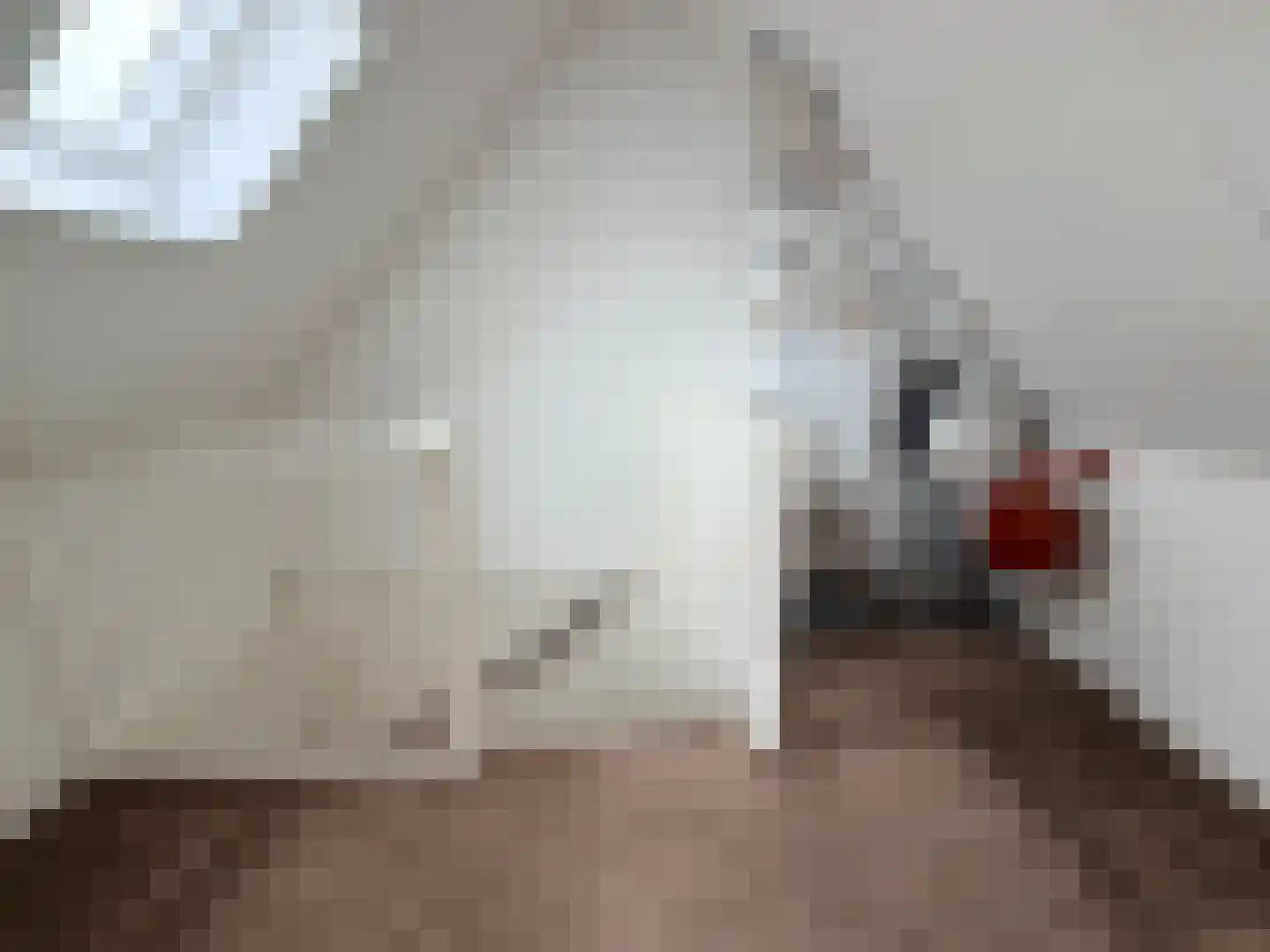 Forel 8 Zeewolde thumbnail 23