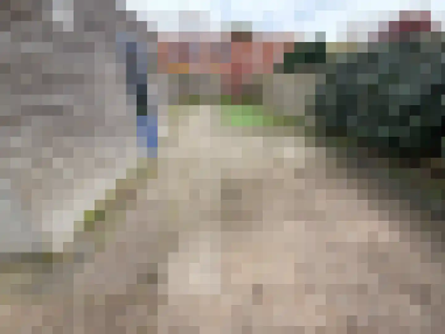 Forel 8 Zeewolde thumbnail 26