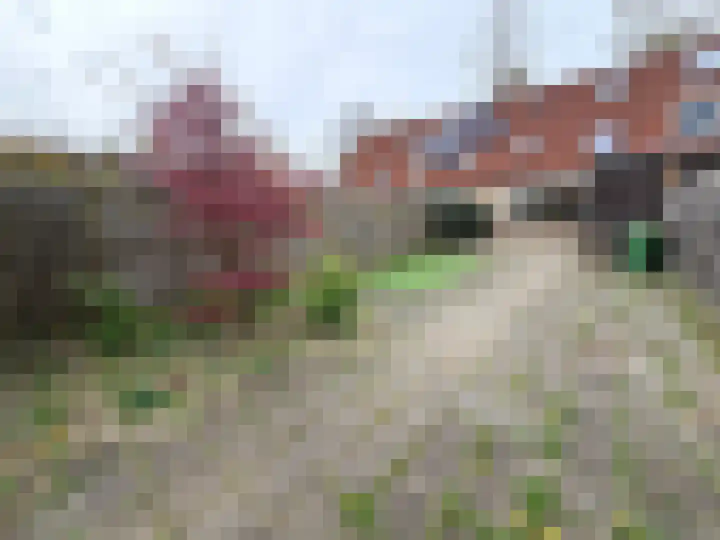 Forel 8 Zeewolde thumbnail 28