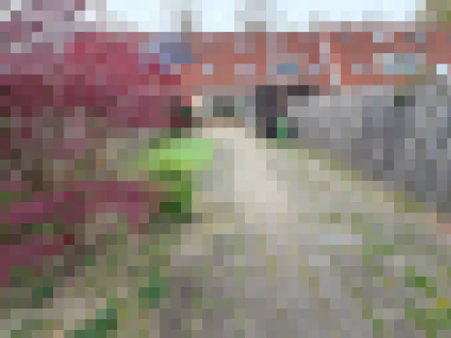 Forel 8 Zeewolde thumbnail 29