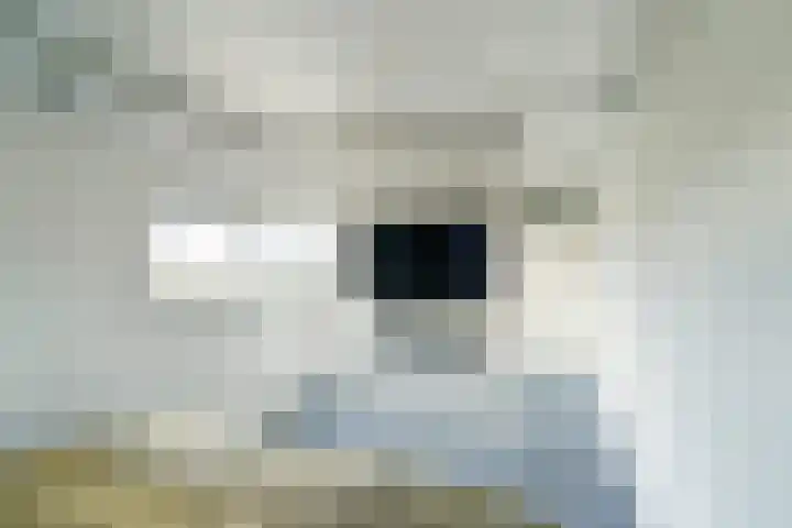 Forel 92 Amersfoort thumbnail 13