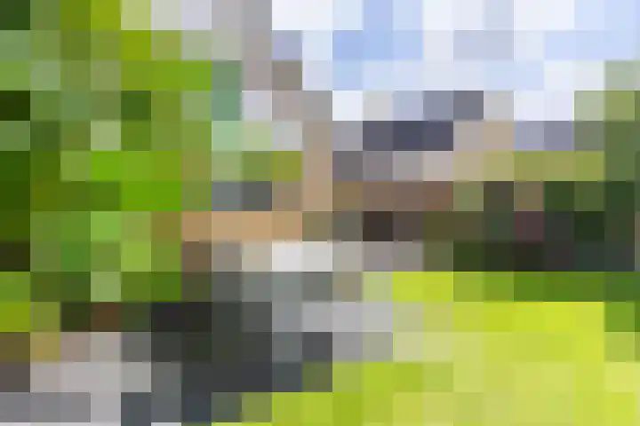 Forel 92 Amersfoort thumbnail 18