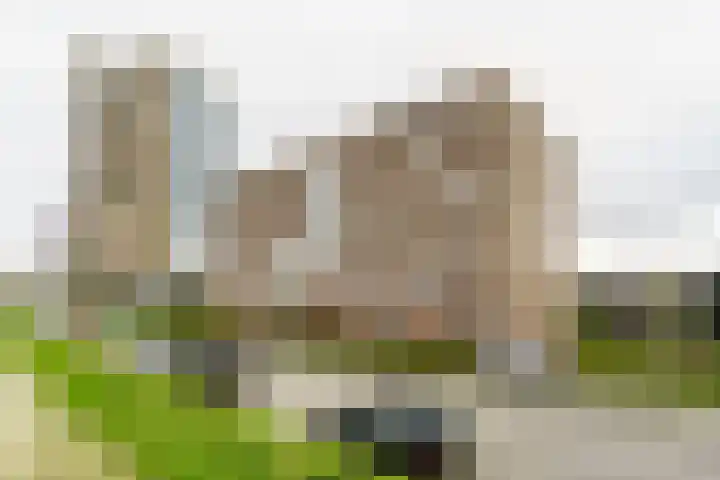 Forel 92 Amersfoort thumbnail 21