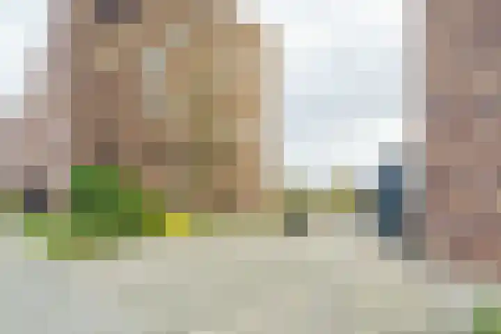 Forel 92 Amersfoort thumbnail 23