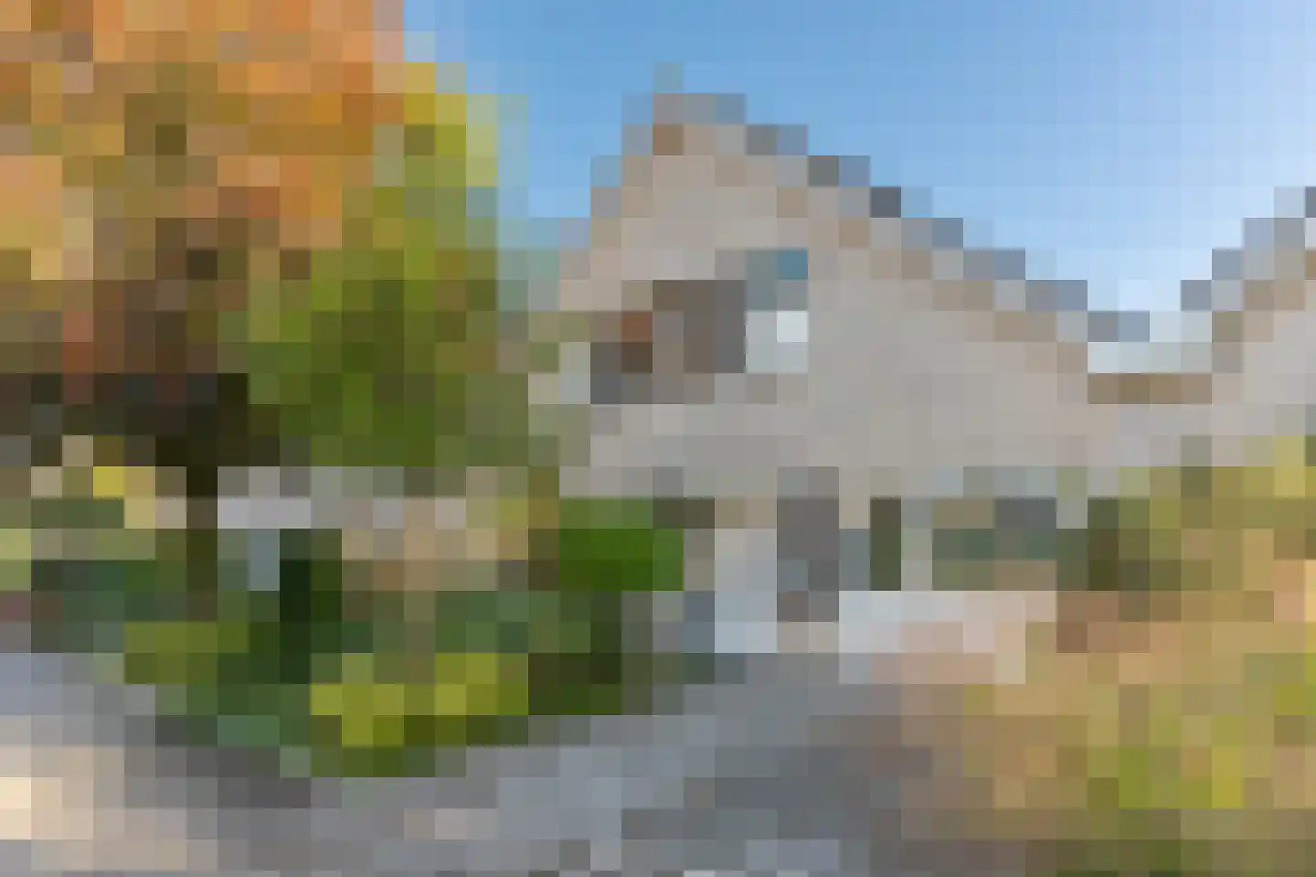 Forelkolk 4 Zwolle