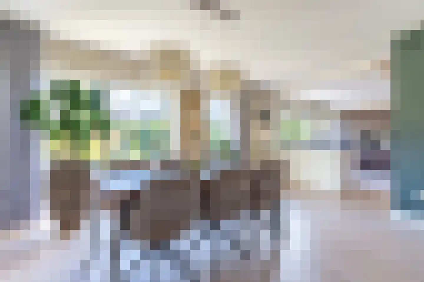 Forelkolk 4 Zwolle thumbnail 12