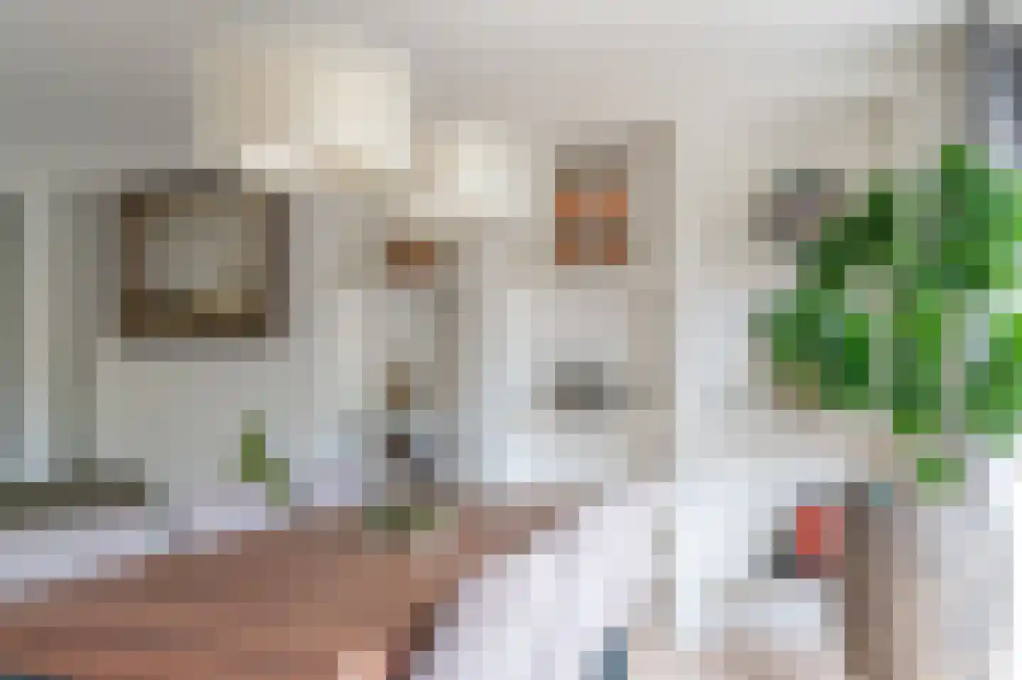 Forelkolk 4 Zwolle thumbnail 13