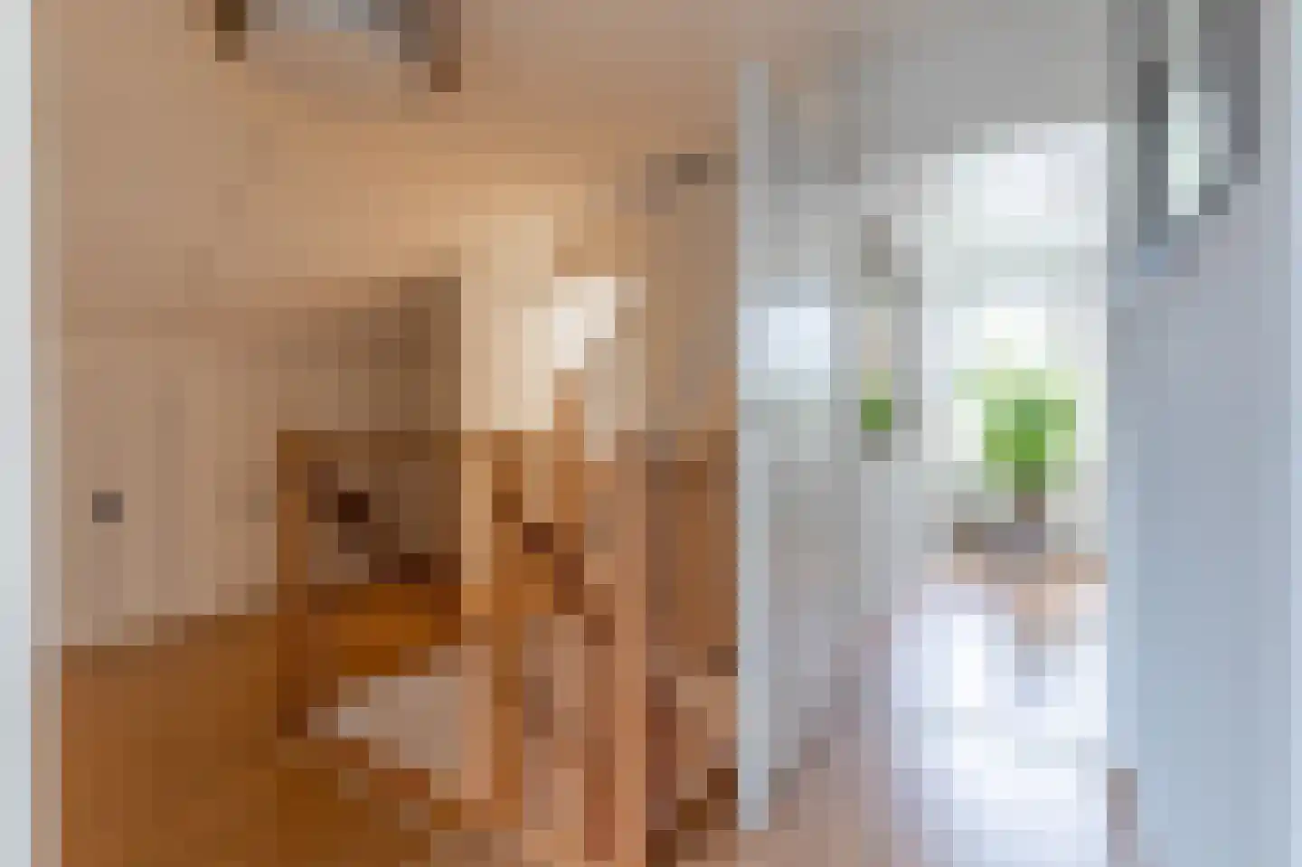 Forelkolk 4 Zwolle thumbnail 42
