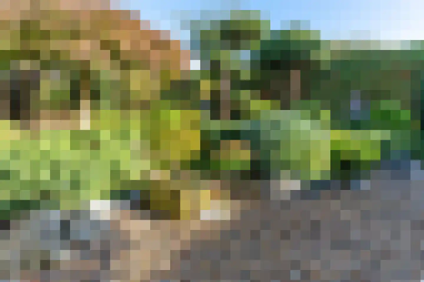Forelkolk 4 Zwolle thumbnail 45