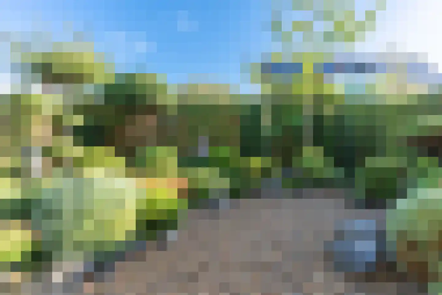 Forelkolk 4 Zwolle thumbnail 46