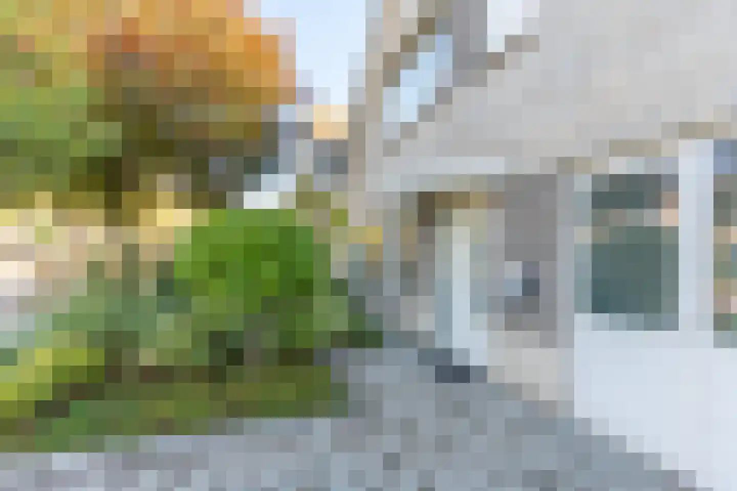 Forelkolk 4 Zwolle thumbnail 5