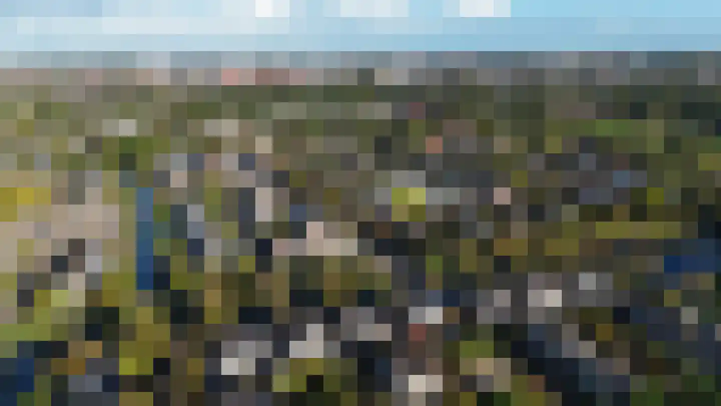 Forelkolk 4 Zwolle thumbnail 56